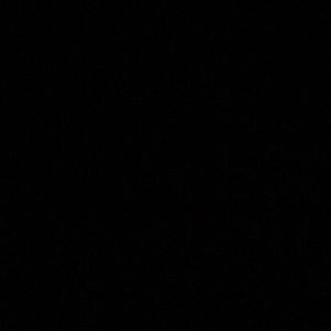 Meet your Posher, Dale